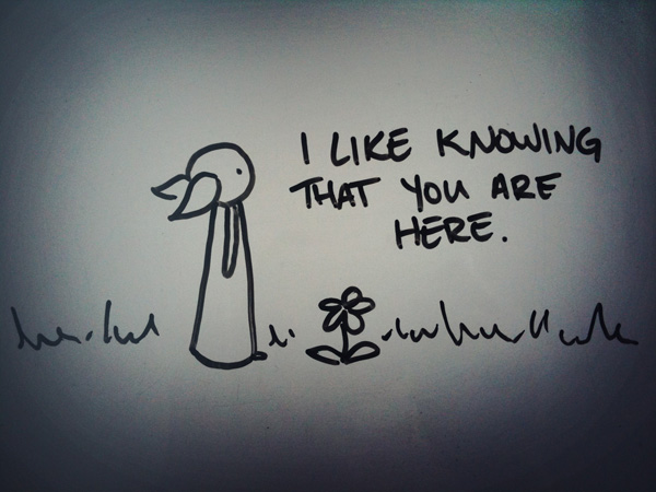 i like knowing that you are here.