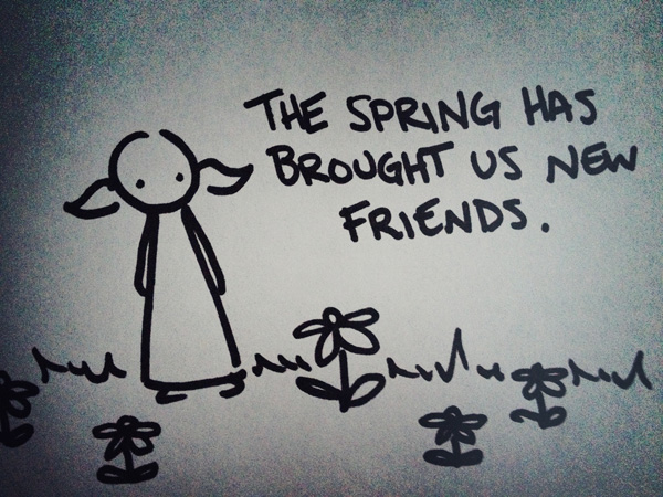 the spring has brought us new friends.